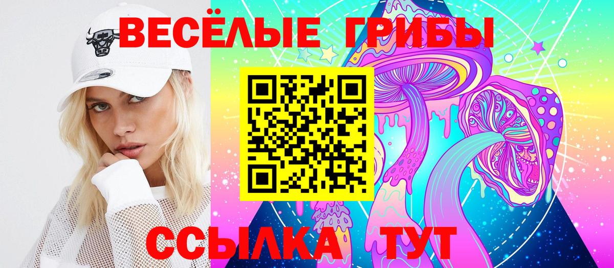 Избербаш  цены наркотик  Вход с VPN  Галлюциногенные грибы ЛСД  Псилоцибиновые грибы Cubensis 