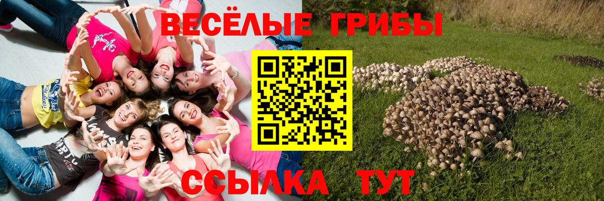 Галлюциногенные грибы прущие грибы Избербаш
